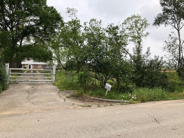 6125 Carson Rd, Houston, TX 77048 - view of asphalt driveway with a gate and a gated entry