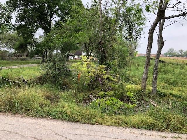 6125 Carson Rd, Houston, TX 77048 - view of yard with a view of rural / pastoral area