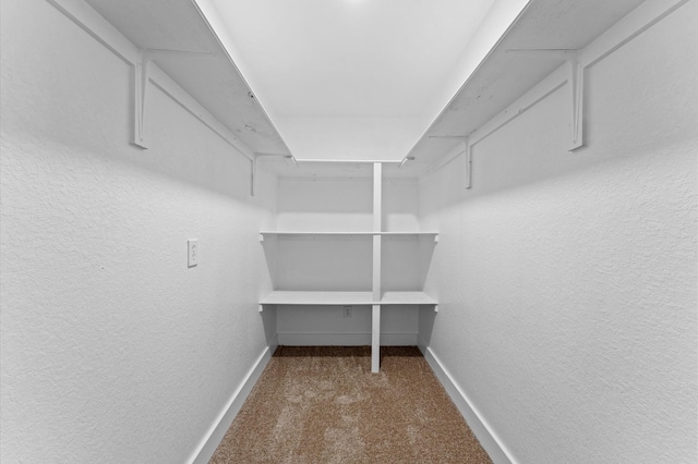 12126 Guadalupe Trail Ln, Humble, TX 77346 - spacious closet featuring carpet floors