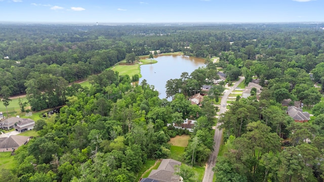 3 Hanover, Conroe, TX 77304
