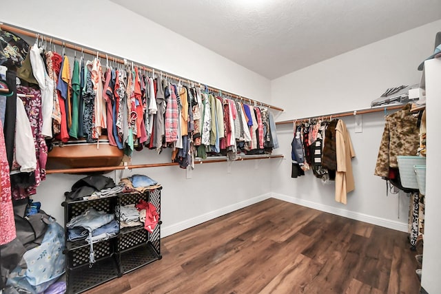 313 Overlook Dr, Friendswood, TX 77546 - spacious closet with wood finished floors