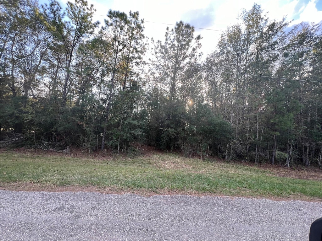 TBD County Road 638, Dayton, TX 77535