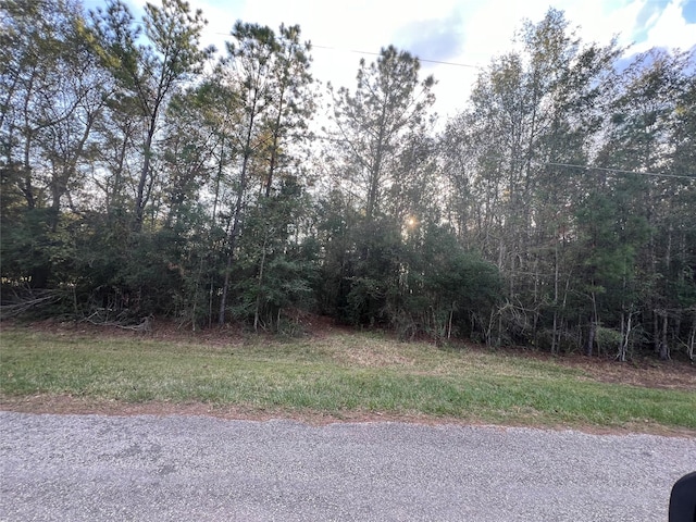 TBD County Road 638, Dayton, TX 77535