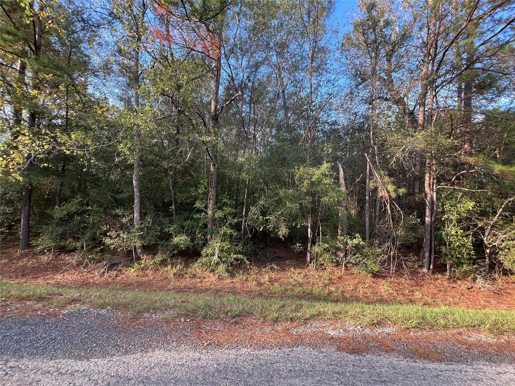 TBD County Road 638, Dayton, TX 77535