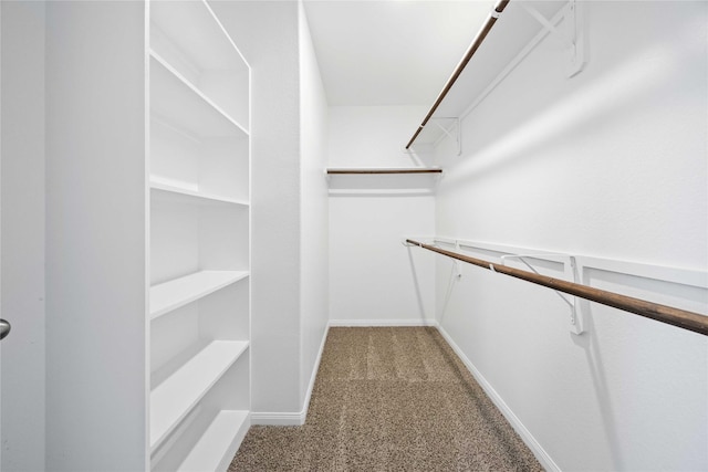 212 Bryan Way, Angleton, TX 77515 - walk in closet with carpet floors