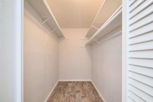 spacious closet with wood finished floors
