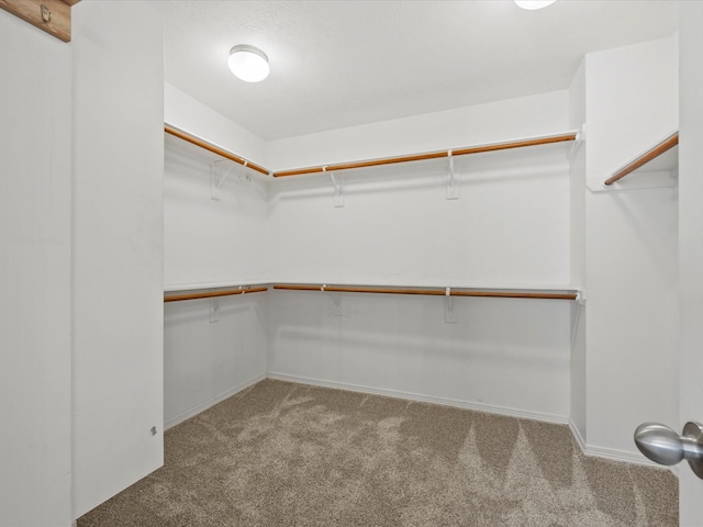 spacious closet with carpet flooring