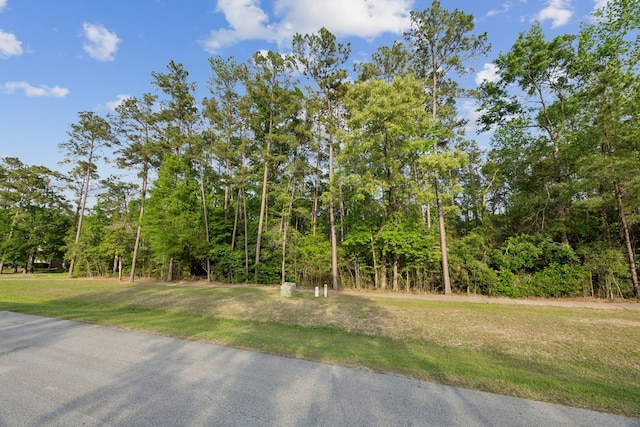 27322 Whispering Maple Way, Spring, TX 77386