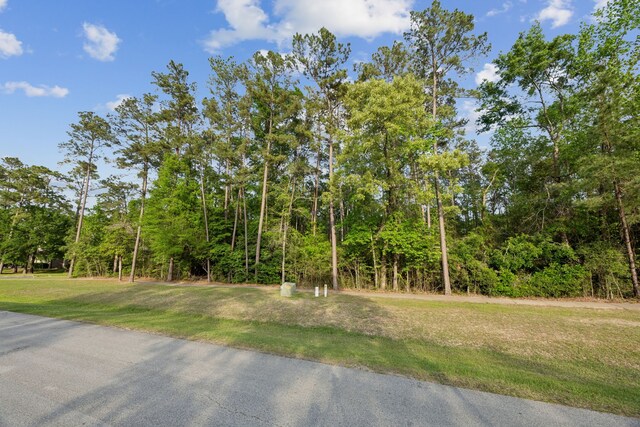 27318 Whispering Maple Way, Spring, TX 77386 - photo 3