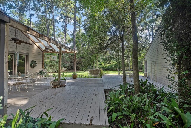 18703 Rosebud Ln, Tomball, TX 77377 - photo 30