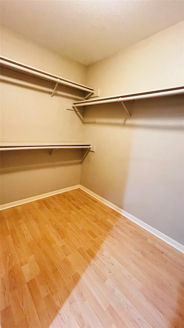 walk in closet with light wood-style floors