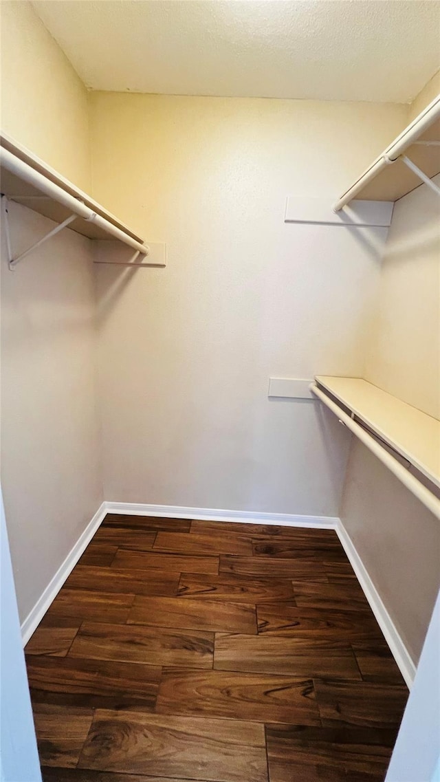 spacious closet with dark wood-type flooring