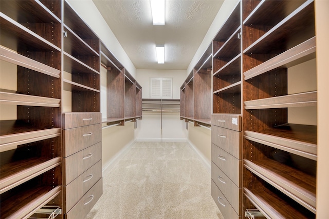 107 Lake View Loop, Fulshear, TX 77441 - walk in closet featuring light colored carpet