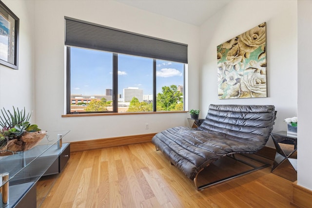 5417 Hidalgo St Unit B, Houston, TX 77056 - living area featuring baseboards and wood finished floors