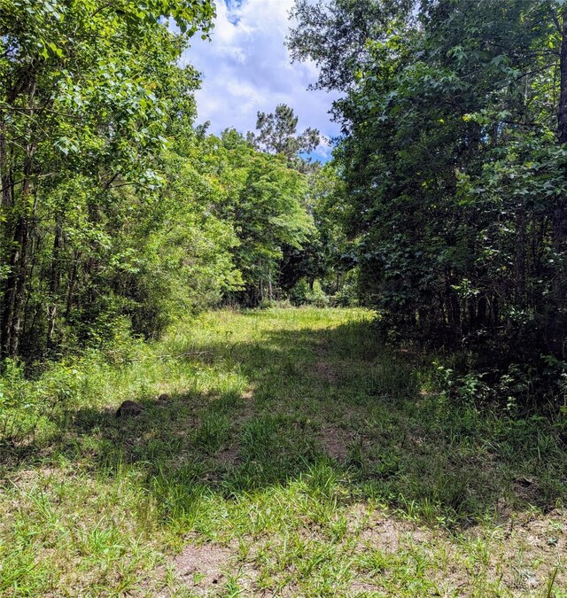 TBD County Road 190, Liberty, TX 77575 - photo 3