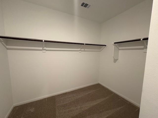 25519 Balsamroot Dr, Magnolia, TX 77355 - walk in closet with dark carpet