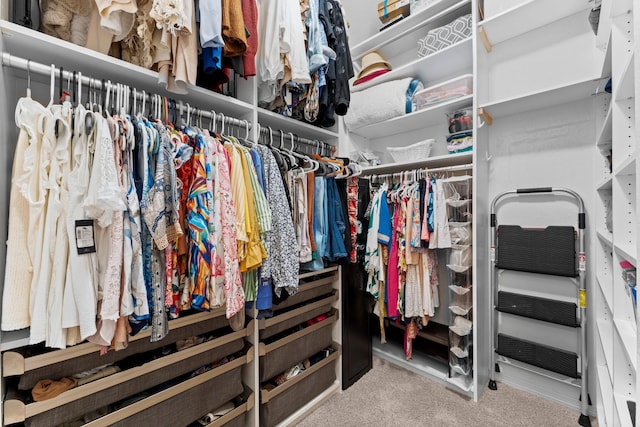 11202 Puckett River Dr, Cypress, TX 77433 - spacious closet featuring carpet floors