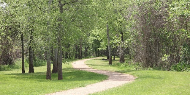 13214 Dusty Grove Ln, Sugar Land, TX 77498 - view of community featuring driveway, a wooded view, and a lawn