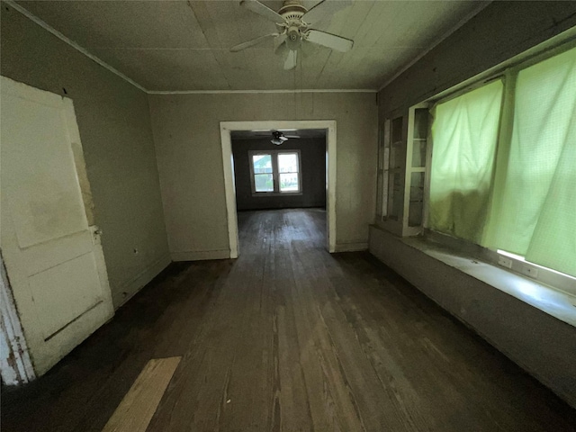 hallway with crown molding and dark wood finished floors