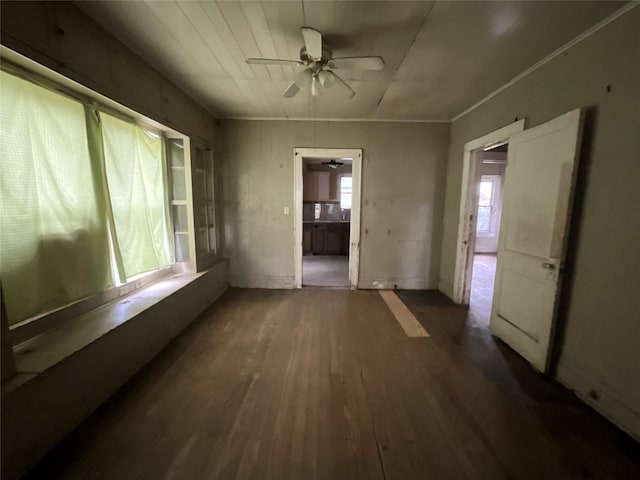 interior space featuring crown molding, ceiling fan, and wood finished floors