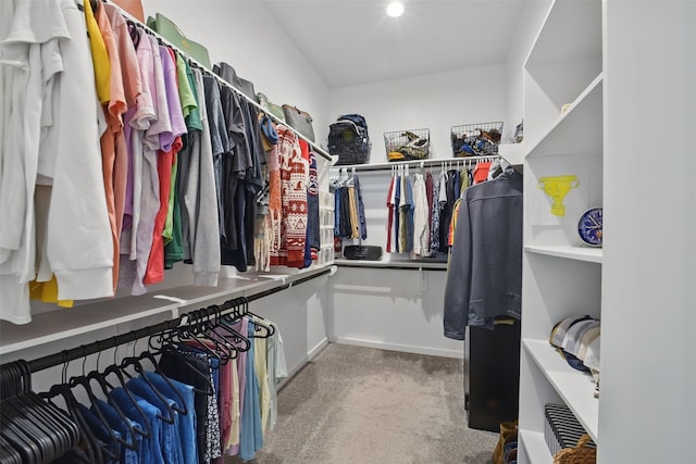 7323 Perching Hawk Trl, Katy, TX 77493 - walk in closet with carpet