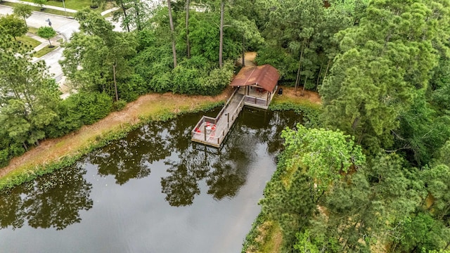 16875 Olympic National Dr, Humble, TX 77346 - bird's eye view of a large body of water and a forest