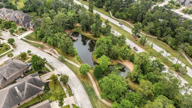 16875 Olympic National Dr, Humble, TX 77346 - aerial view of property's location featuring a nearby body of water and a tree filled landscape