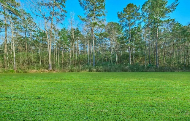118 Ranger Rd, Huntsville, TX 77340 - view of grassy yard featuring a view of trees