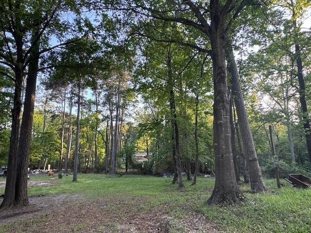 376 Nueces Dr, Trinity, TX 75862