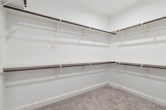 24717 Sligo St, Hempstead, TX 77445 - walk in closet featuring carpet floors