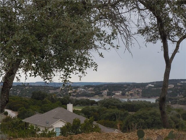 20805 Jones Cv, Jonestown, TX 78645 - photo 3