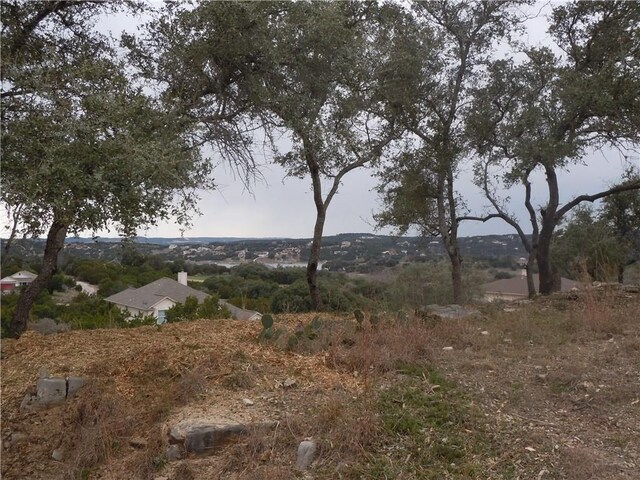 20805 Jones Cv, Jonestown, TX 78645 - photo 4