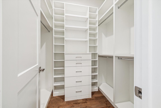 spacious closet featuring dark wood-style flooring