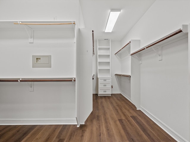 walk in closet with dark wood-style floors