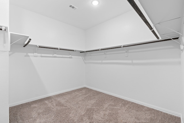 32734 Harvest Valley Dr, Brookshire, TX 77423 - spacious closet with carpet