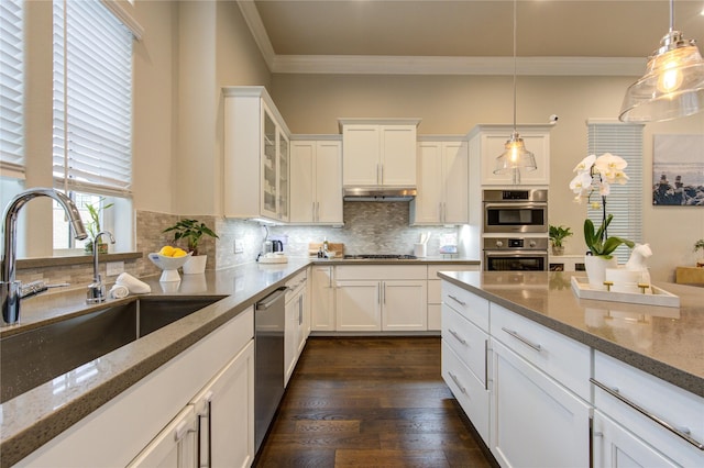 kitchen featuring ornamental molding, appliances with stainless steel finishes, under cabinet range hood, a sink, and backsplash