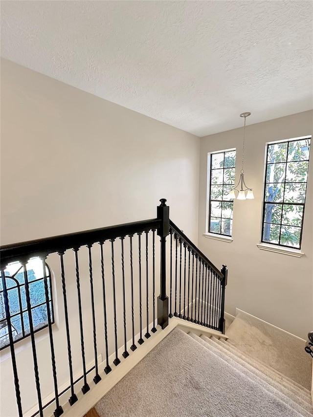 6415 Willow Pine Dr, Spring, TX 77379 - photo 17