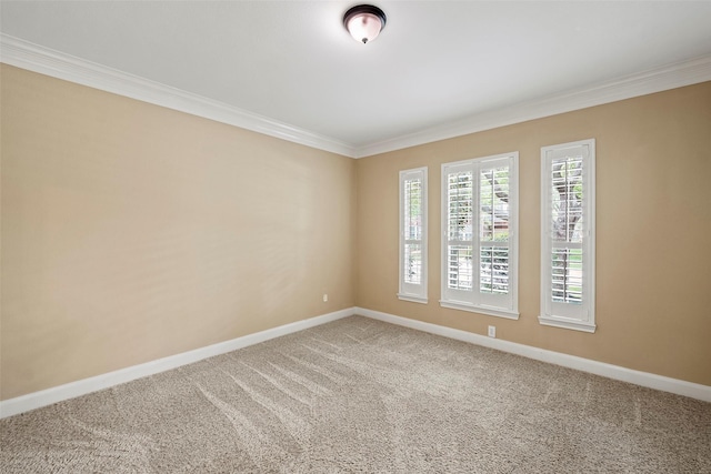 11812 Sea Shadow Bnd, Pearland, TX 77584 - spare room featuring carpet floors and crown molding