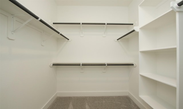 walk in closet featuring carpet flooring