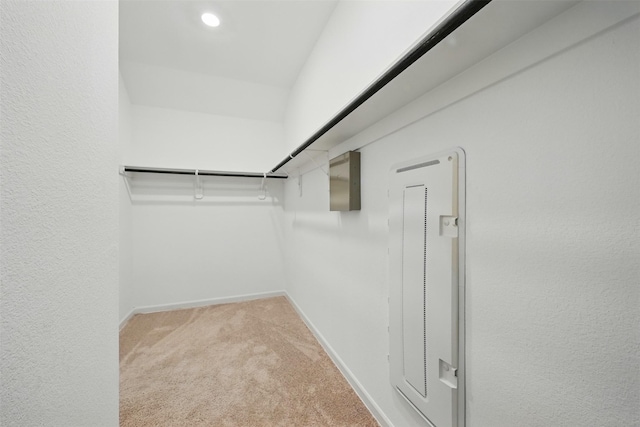 spacious closet featuring light colored carpet