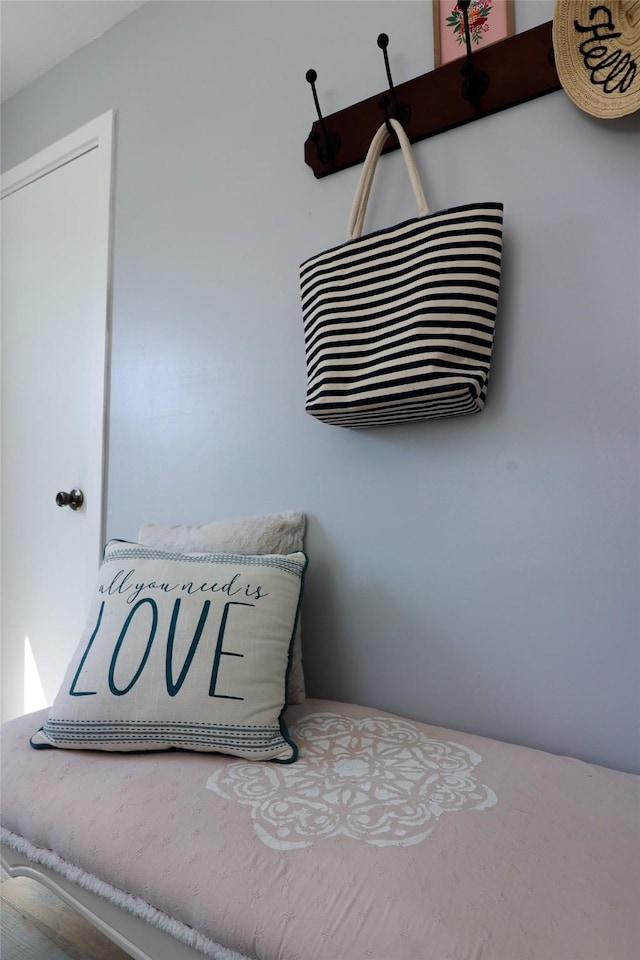 view of room details