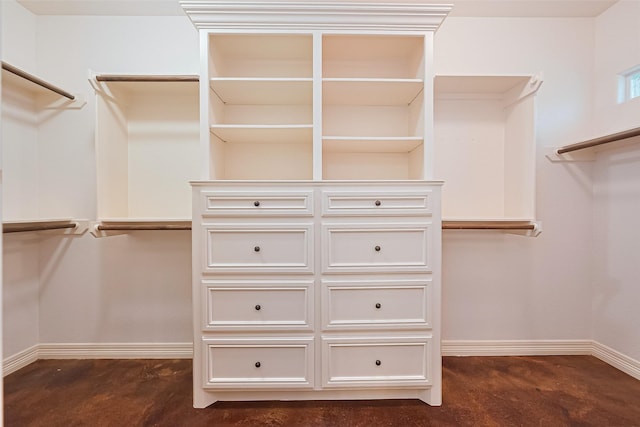 view of walk in closet
