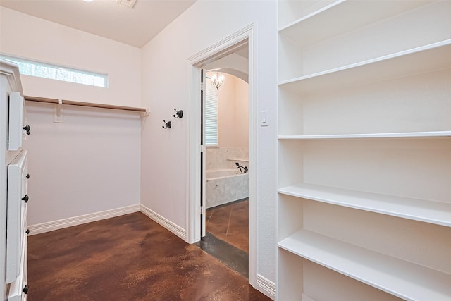 view of spacious closet
