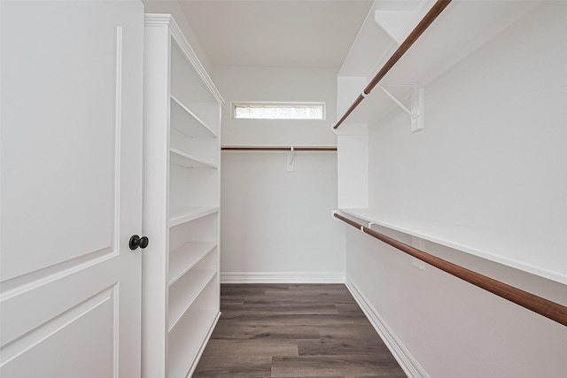 spacious closet featuring dark wood-style flooring