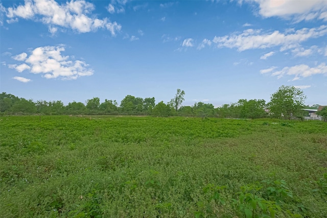 view of nature