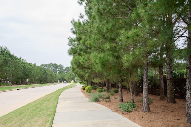 445 Thistle Thorn Dr, Spring, TX 77382 - photo 28