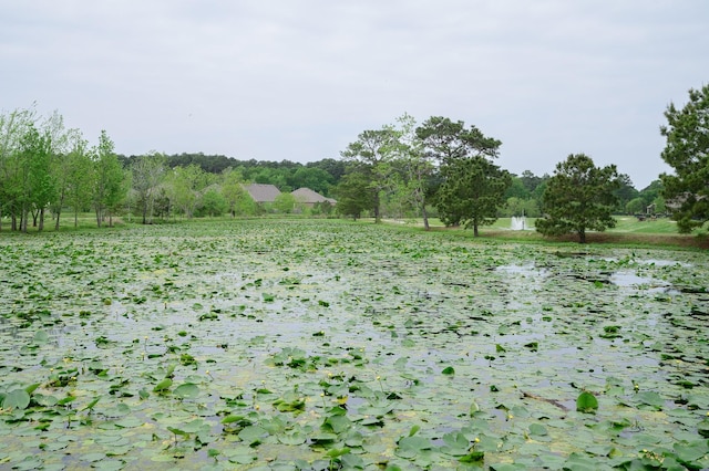 445 Thistle Thorn Dr, Spring, TX 77382 - photo 30