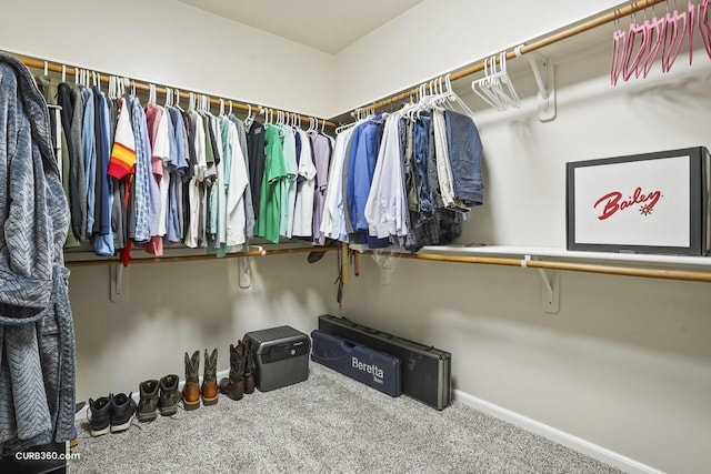 spacious closet with carpet flooring