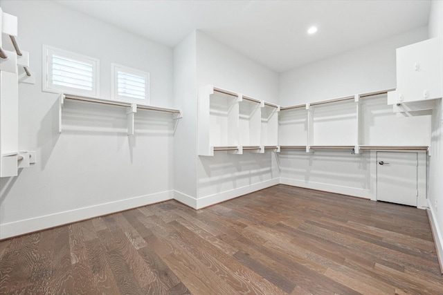 spacious closet with wood finished floors