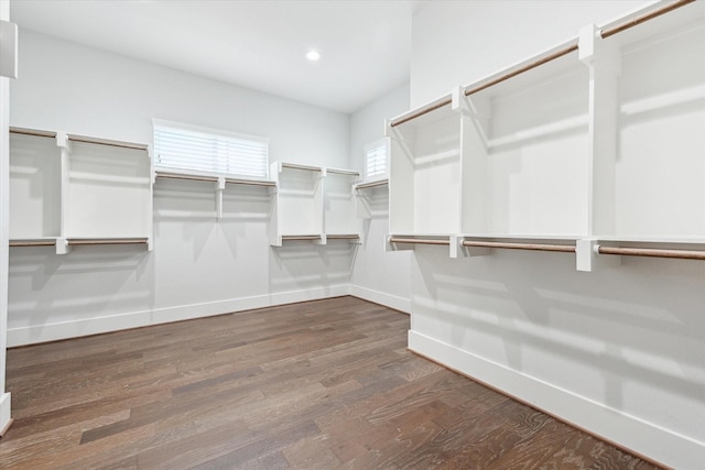 walk in closet featuring wood finished floors